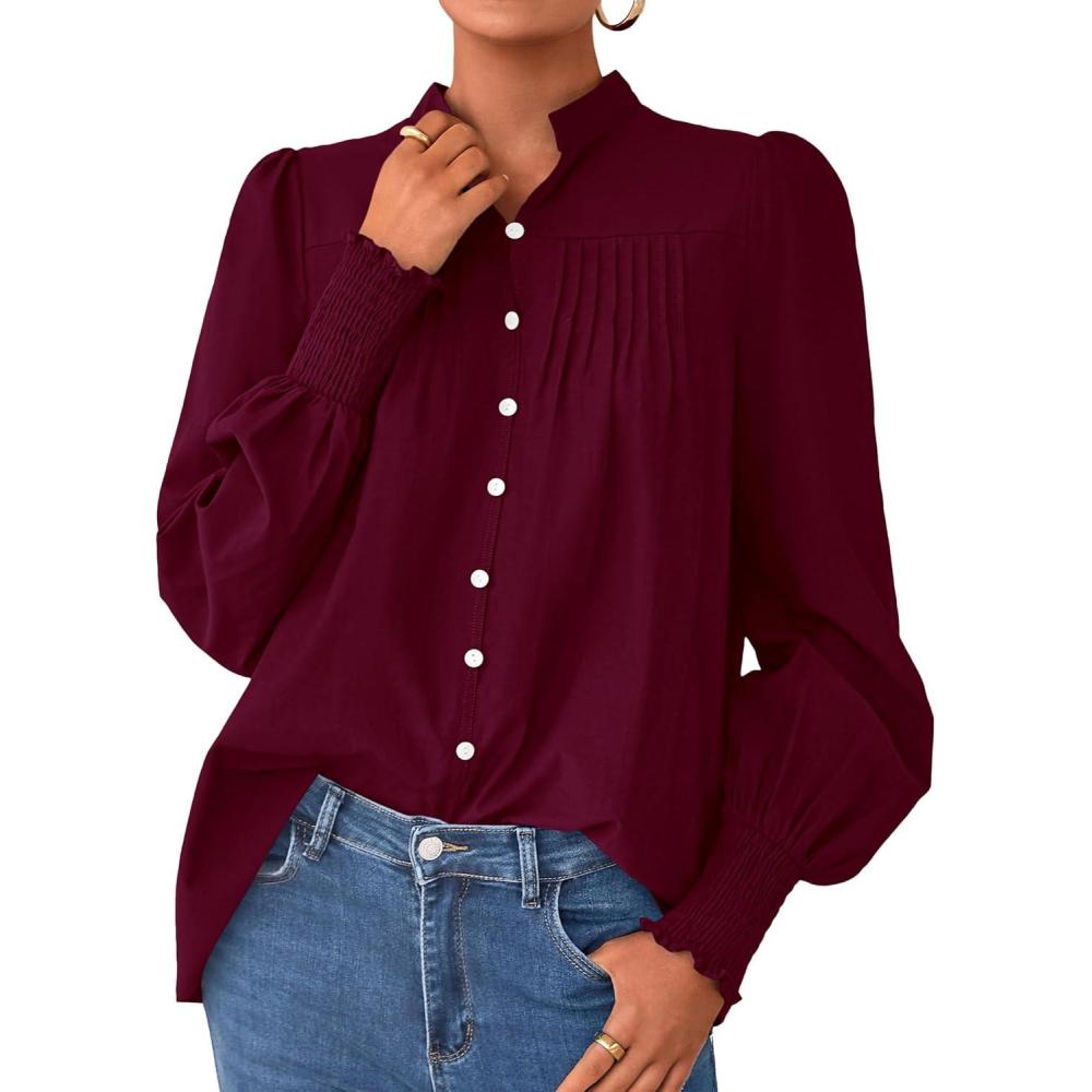 imagePRETTYGARDEN Fall Lantern Long Sleeve Shirts for Women 2025 Trendy Button Vneck Pullover Henley Tops Dressy Work BlousesWine Red