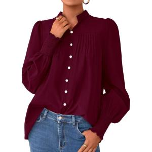 imagePRETTYGARDEN Fall Lantern Long Sleeve Shirts for Women 2025 Trendy Button Vneck Pullover Henley Tops Dressy Work BlousesWine Red