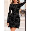 imagePRETTYGARDEN Womens 2025 Fall Fashion Floral Long Sleeve Mini Dress Mesh Bodycon Short Party Date Night Going Out DressesBlack