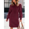 imagePRETTYGARDEN Womens Fall Sweater Dress Casual Long Sleeve Chunky Knit Pullover Oversized Hoodie Tunic Sweaters Winter ClothesWine Red