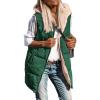 imagePRETTYGARDEN Womens 2025 Fall Reversible Long Vests Sleeveless Fleece Jacket Zip Up Hoodie Pockets Warm Coat Winter ClothingDark Green