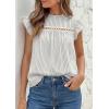 image:imagePRETTYGARDEN Striped Shirt Womens Summer Tops 2026 Spring Business Casual Work Dressy Crochet Lace Ruffle Cap Sleeve BlouseGrey Striped
