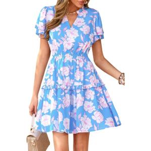 image:imagePRETTYGARDEN Womens Summer Floral Mini Dress 2026 Trendy Ruffle Short Sleeve V Neck Flowy A Line Short Beach DressesFloral Sky Blue White