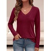image:imagePRETTYGARDEN Womens Long Sleeve Shirts V Neck Basic Tees  Going Out Tops Soft Comfy Plain TShirts Loose Fit Tunic Blouses Casual Versatile Wear Brunch Outfits 2026 Fall ClothesBurgundy