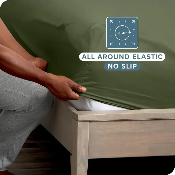 Bare Home 2Pack Fitted Bottom Sheets Twin  Premium 1800 UltraSoft Wrinkle Resistant Microfiber  Deep Pocket Twin WhiteCypress