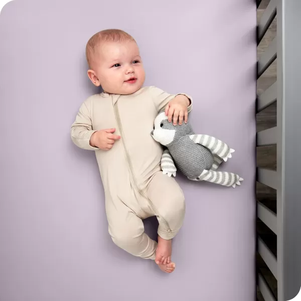 Bare Home 2Pack Fitted Crib Sheets  Premium 1800 UltraSoft Microfiber  Breathable  Baby Sheet  for Boys ampamp Girls  Fits Standard Crib and Toddler Mattresses Crib Sky BlueWhite06  Lilac