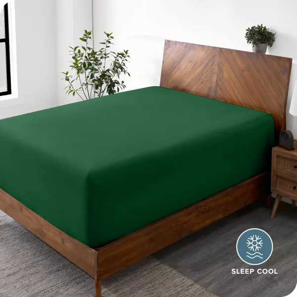 Bare Home Queen Fitted Sheet  Extra Deep Pocket Fitted Sheet  Premium 1800 Microfiber  UltraSoft Wrinkle Free  Queen Deep Pocket Bottom Sheets Queen  11quot to 22quot Pocket Grey14  Forest Green