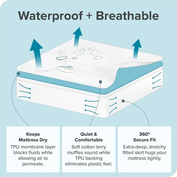 Bare Home Twin XL Waterproof Mattress Protector  39 in x 80 in White Vinyl FreeTwin XL