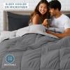 imageBare Home Reversible BedinABag Comforter ampamp Sheet Set  Full Extra Long  Down Alternative  Soft  Bedding Set Full XL TaupeSand SandGreyLight Grey  Black