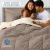 imageBare Home Reversible BedinABag Comforter ampamp Sheet Set  Full Extra Long  Down Alternative  Soft  Bedding Set Full XL TaupeSand SandTaupeSand  Taupe