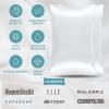 imageBare Home 100 Mulberry Silk Pillowcase for Hair and Skin  Ultra Premium 6A Grade 19 Momme Silk Pillow Case  Envelope Enclosure  Breathable Cooling Pillow Cover Queen Champagne01  White