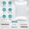 imageBare Home 100 Mulberry Silk Pillowcase for Hair and Skin  Ultra Premium 6A Grade 19 Momme Silk Pillow Case  Envelope Enclosure  Breathable Cooling Pillow Cover Queen Champagne01  White