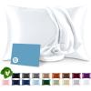imageBare Home 100 Mulberry Silk Pillowcase for Hair and Skin  Ultra Premium 6A Grade 19 Momme Silk Pillow Case  Envelope Enclosure  Breathable Cooling Pillow Cover Queen Champagne01  White