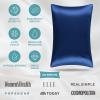 imageBare Home 100 Mulberry Silk Pillowcase for Hair and Skin  Ultra Premium 6A Grade 19 Momme Silk Pillow Case  Envelope Enclosure  Breathable Cooling Pillow Cover Queen Champagne13  Dark Blue