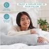 imageBare Home 100 Mulberry Silk Pillowcase for Hair and Skin  Ultra Premium 6A Grade 19 Momme Silk Pillow Case  Envelope Enclosure  Breathable Cooling Pillow Cover Queen Champagne05  Silver