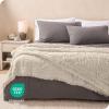 imageBare Home Shaggy Faux Fur Sherpa Blanket  Super Soft Fuzzy Fluffy  Reversible Cozy Warm Blanket for Couch Sofa Chair Bed  Luxury Home Decor ThrowTravel Grey05  Oyster