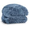 06 - Coronet Blue 06 - Coronet Blue