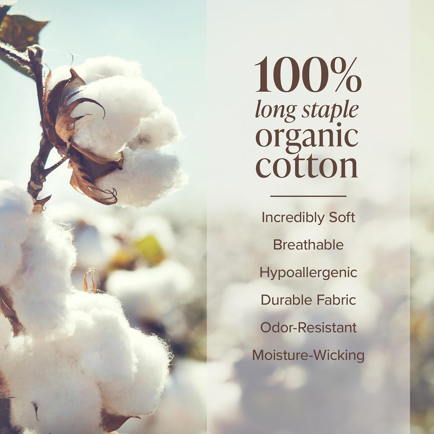 imageBare Home Apartment Ready Organic Cotton Percale Duvet Bundle  Twin XL  7 Pieces Including Duvet Cover Set with Insert Sheet Set ampamp Mattress Pad  Lightweight ampamp Breathable  Twin XL Dusty Purple01  White