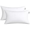imageBare Home Bedding Throw Pillows Insert  17 x 17 Inches  Decorative Bed and Couch Pillow Pack of 2 WhiteWhite