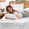 image:imageBare Home 100 Organic Cotton Jersey Sheet Set Ultra Soft 100 Cotton  Sheet Set amp Pillowcases  Deep Pocket Bed Sheets King Forest Green01  White