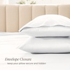 image:imageBare Home 100 Organic Cotton Sateen Pillowcase Set  Standard Size  Smooth Sateen Weave  Queen Size Pillowcases  Envelope Closure  Warm amp Luxurious Standard Pillowcase Set of 2 French Beige01  White
