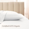 image:imageBare Home 100 Organic Cotton Sateen Pillowcase Set  Standard Size  Smooth Sateen Weave  Queen Size Pillowcases  Envelope Closure  Warm amp Luxurious Standard Pillowcase Set of 2 French Beige01  White