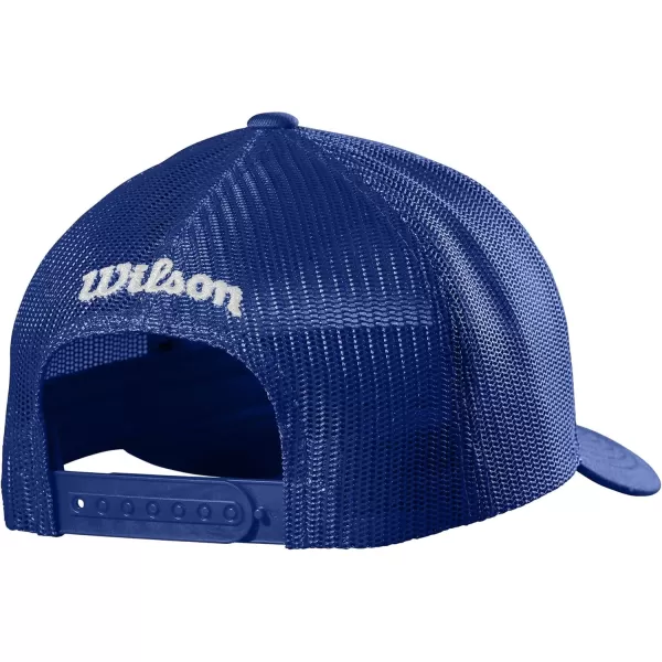 imageWILSON A2000 Leather Patch Snapback HatRoyal