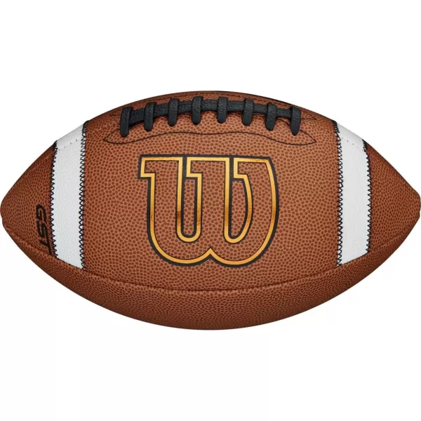 imageWILSON GST Composite Footballs  TanJunior size 4th6th grade Ages 912