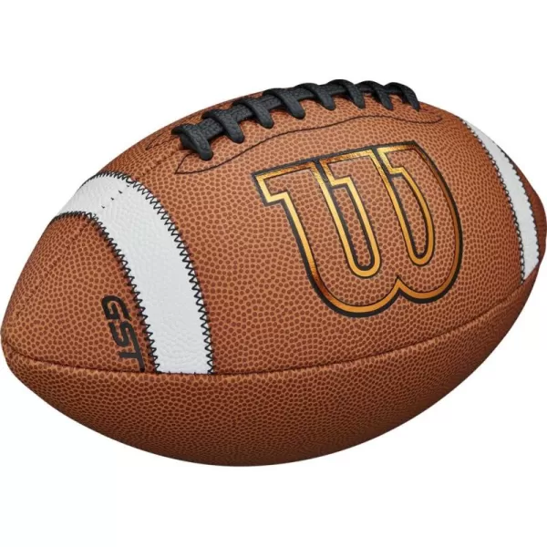 imageWILSON GST Composite Footballs  TanJunior size 4th6th grade Ages 912