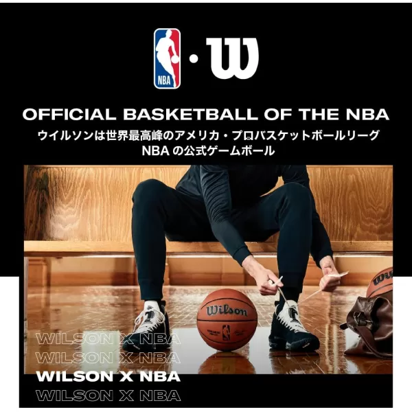 imageWILSON NBA Authentic Dual Action Basketball Pump