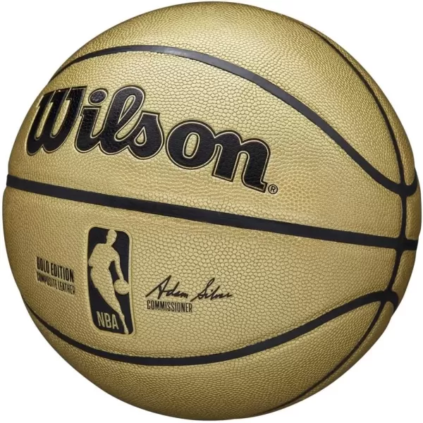 imageWILSON NBA Alliance Series Basketballs  Size 7 and Mini SizeGold