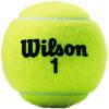 imageWILSON Championship Tennis BallsExtra Duty