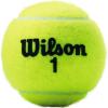 imageWILSON Championship Tennis BallsExtra Duty