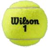 imageWILSON Roland Garros Clay Tennis Ball  3 Ball Can