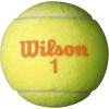 imageWILSON Starter Tennis Balls YellowOrangeStarter Orange  Ages 910