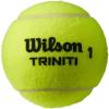 imageWILSON Triniti Tennis BallsSingle Can 3 Balls