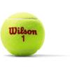 imageWILSON Youth Tennis Balls  US Open Red Tournament Single Can 3 Balls