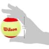 imageWilson Starter Tennis Ballspkg of 12