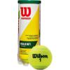 imageWILSON Championship Tennis BallsRegular Duty