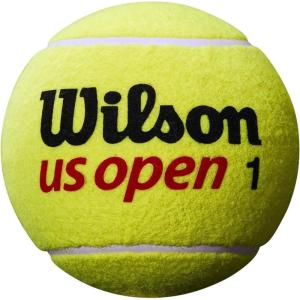 imageWILSON US Open Jumbo Tennis BallsYellow