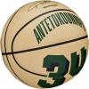 imageWILSON NBA Player Icon Basketballs  Size 3 and Size 7Giannis Antetokounmpo