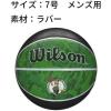 imageWILSON NBA Team Tiedye Basketballs  Size 7295quotBoston Celtics