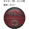 imageWILSON NBA Team Tiedye Basketballs  Size 7295quotToronto Raptors