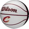 imageWILSON NBA Team Autograph Mini Basketballs  Size 322quotCleveland Cavaliers