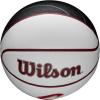 imageWILSON NBA Team Autograph Mini Basketballs  Size 322quotCleveland Cavaliers