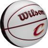 imageWILSON NBA Team Autograph Mini Basketballs  Size 322quotCleveland Cavaliers