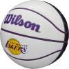 imageWILSON NBA Team Autograph Mini Basketballs  Size 322quotLos Angeles Lakers