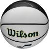 imageWILSON NBA Team Autograph Mini Basketballs  Size 322quotUtah Jazz