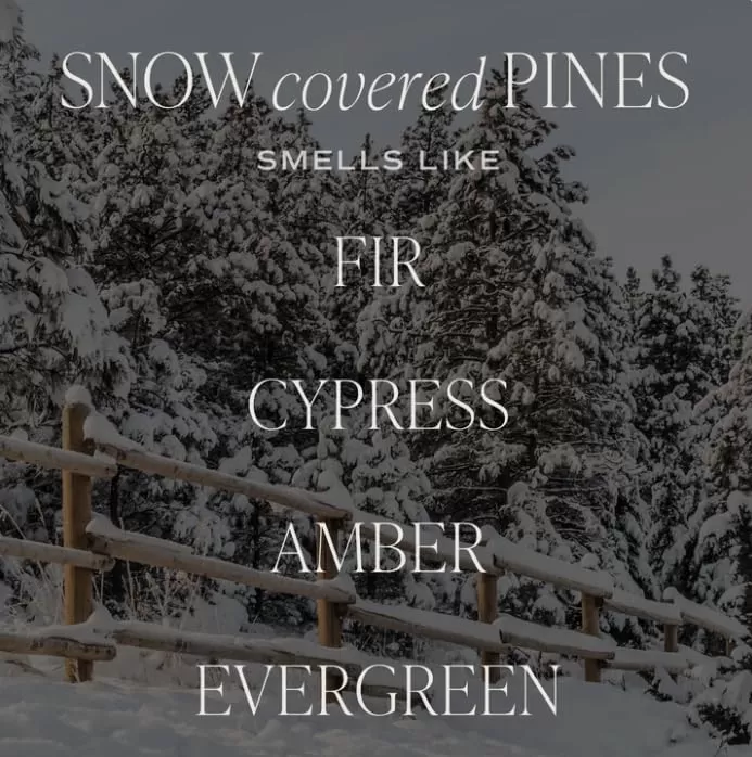 imageSweet Water Decor By The Fireside Candle  Vanilla Caramel Amber Tonka Smoky Woods Musk Winter Scented Soy Candles for Home  15oz Tan Jar 70 Hour Burn Time Made in the USAGreen
