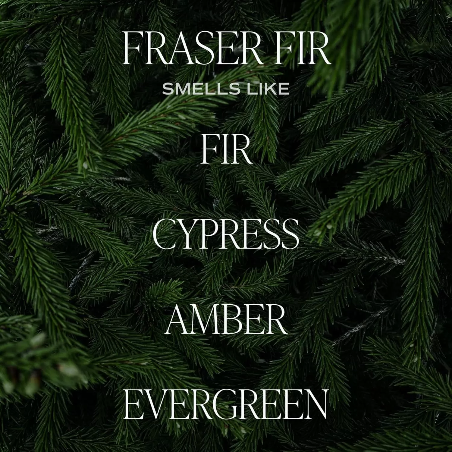 imageSweet Water Decor Christmas Candle  Apple Cider Cinnamon Fresh Cut Christmas Tree and Cookies Scented Soy Candle for Home  12oz Black Stoneware Jar 60 Hour Burn Time Made in the USAFraser Fir